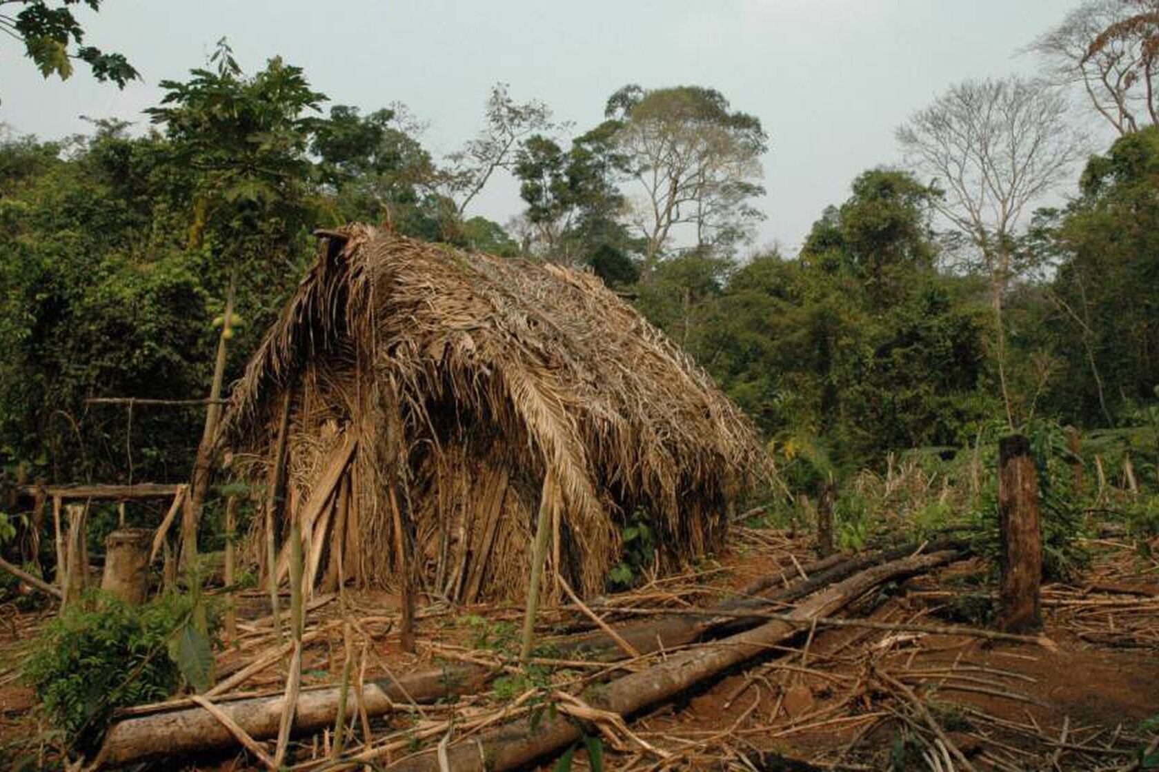 El hombre también era conocido como el "indio do buraco" ("indio del agujero") por su costumbre de abrir huecos profundos en las chozas que habitaba. (Foto: ONG Survival International)