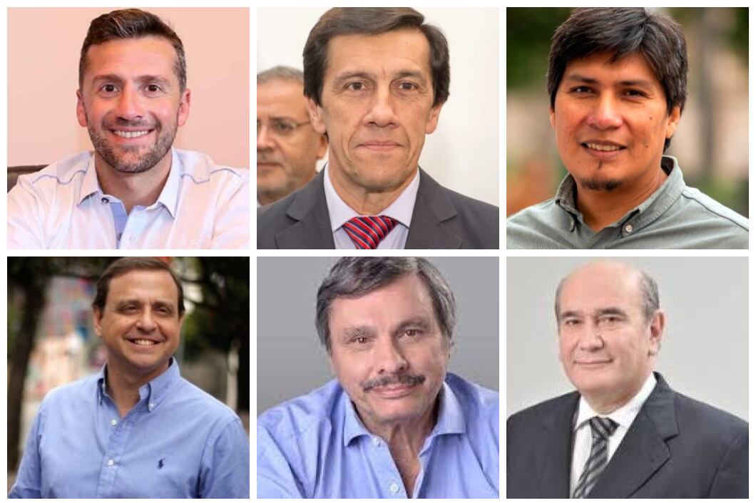 Luciano Demarco, Carlos Sadir, Alejandro Vilca, Guillermo Snopek, Rodolfo Tecchi y Rubén Rivarola.
