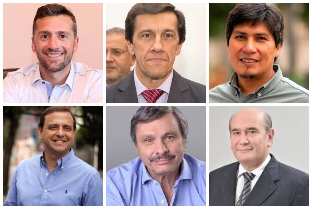 Luciano Demarco, Carlos Sadir, Alejandro Vilca, Guillermo Snopek, Rodolfo Tecchi y Rubén Rivarola.