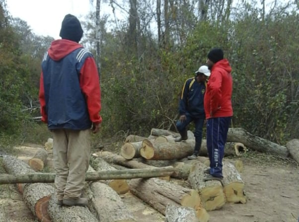 Integrantes de la Comunidad Honhat Le Les cuando denunciaban desmontes 