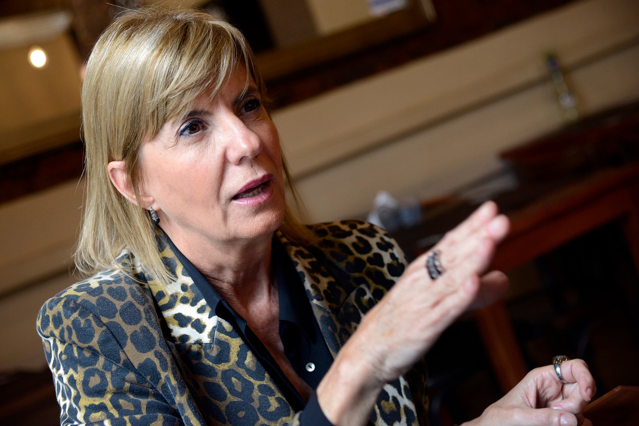 Rodenas sobre Bonadío: "La justicia pretende disciplinar la política, y eso no es justicia".