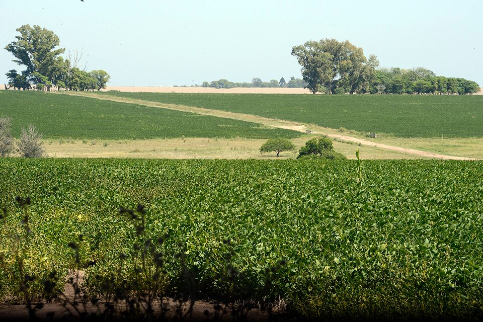 Las superficies sembradas son una variable que influye en la mortalidad por cáncer. 