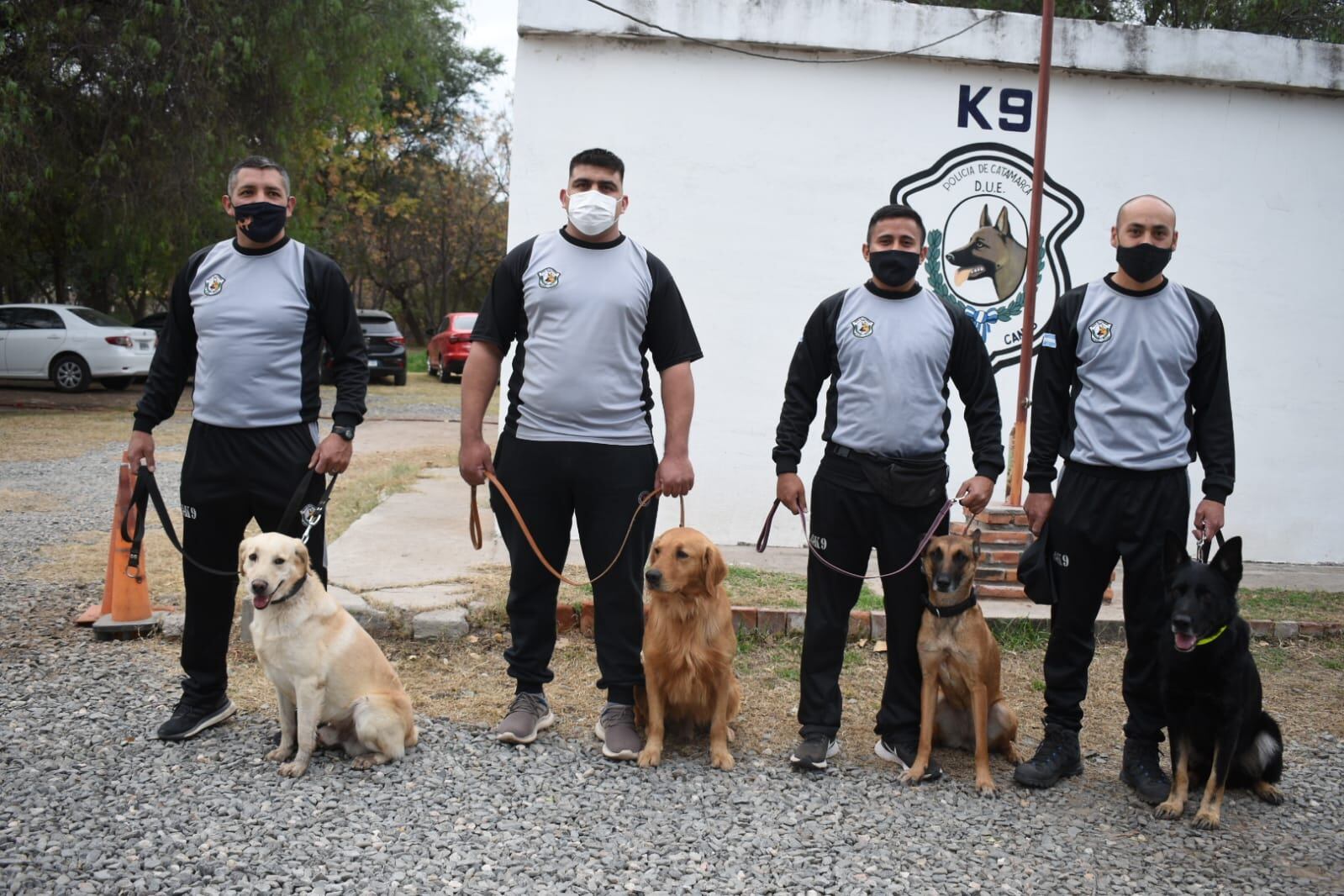 Ambar, Athos, Polaco y Roco, los perros que participan de la búsqueda.