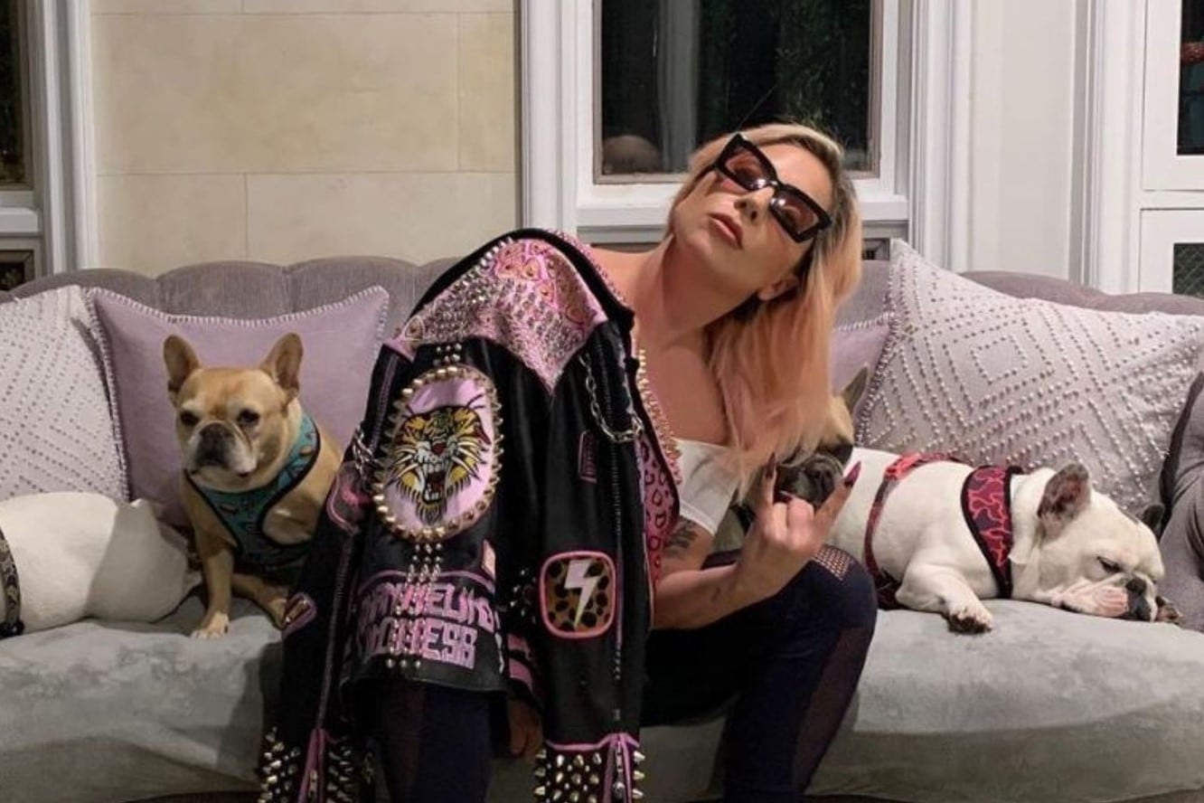 Lady Gaga había ofrecido medio millón de dólares para recuperar a sus mascotas. 