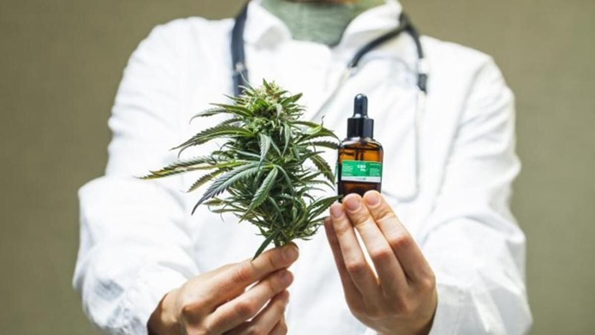 Cannabis medicinal