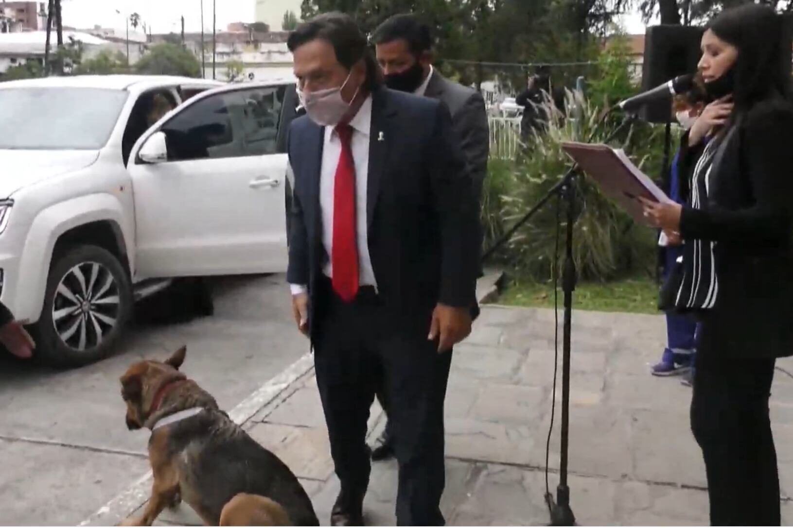 un perro callejero se coló en la ceremonia