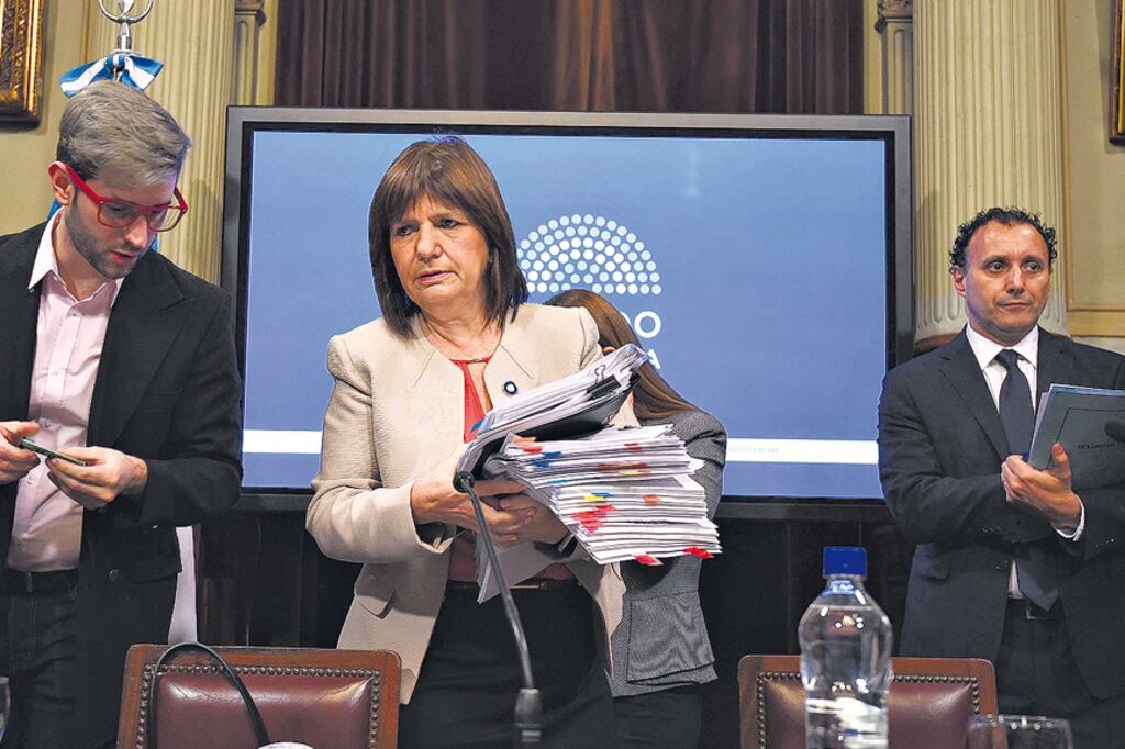 Patricia Bullrich eligió la Comisión de Seguridad Interior del Senado para dar explicaciones sobre la desaparición de Maldonado.