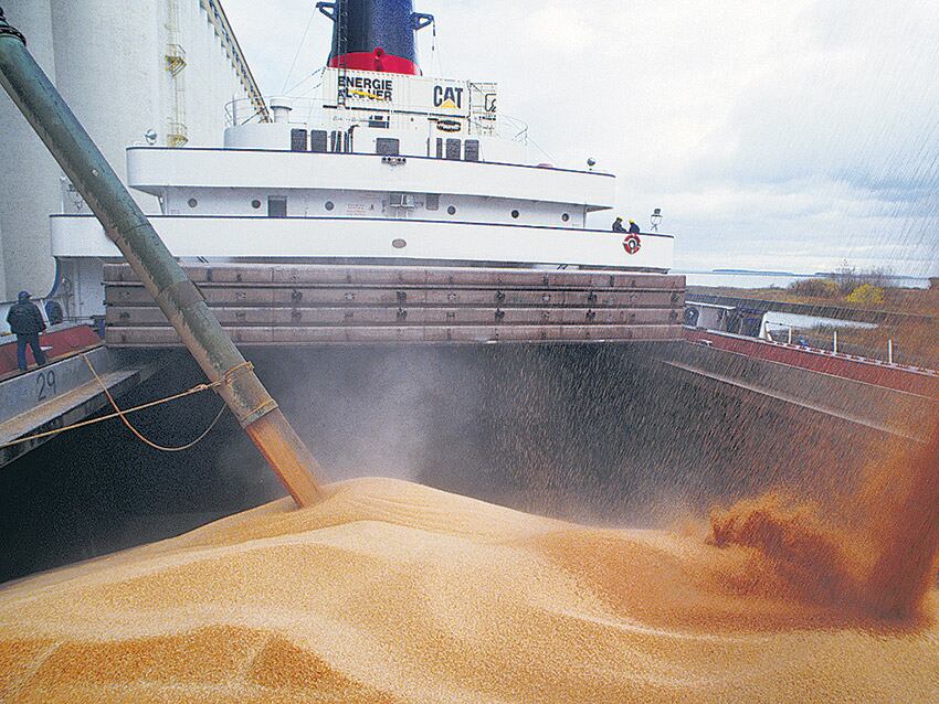 El tiempo en el puerto, mientras se extiende el control, es un costo para exportadores. Ahora no habrá controles.