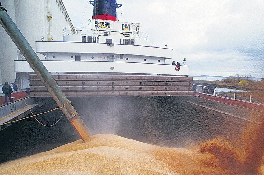 El tiempo en el puerto, mientras se extiende el control, es un costo para exportadores. Ahora no habrá controles.