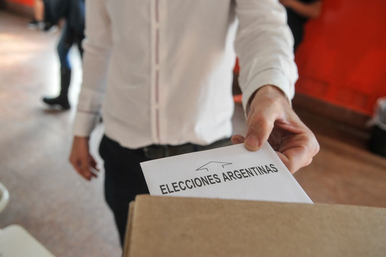 En las elecciones legislativas del 14 de noviembre compiten listas de distintos espacios con candidatos para el Congreso.