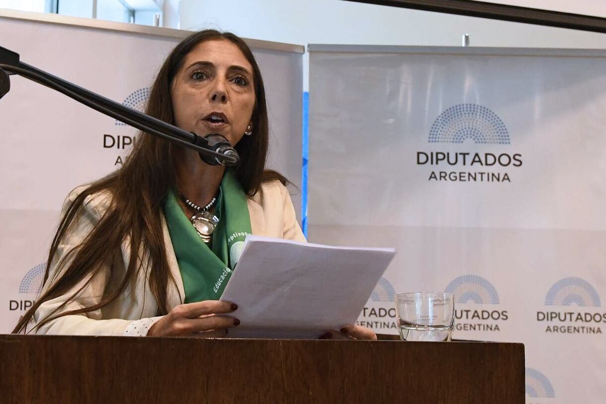 Soledad Deza en su intervención en el Congreso durante el debate por la ley de ILE.