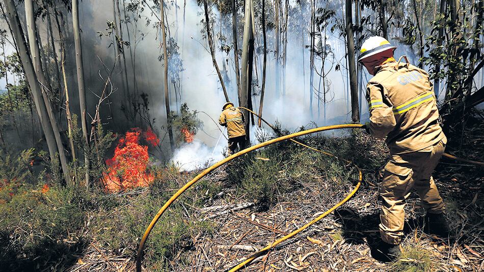 Bomberos, rescatistas y voluntarios luchan por controlar el peor incendio forestal en Portugal.