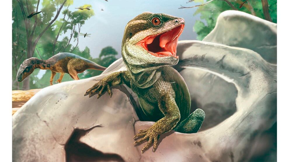 "Argentina es un reservorio inimaginado de la historia evolutiva de nuestro Planeta”, aseguró uno de los investigadores que participó del hallazgo.