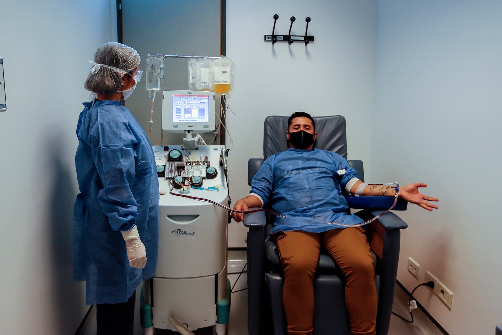 En la donación de plasma, las células sanguíneas se reintegran al donante.