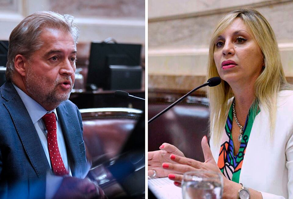 Los senadores santafesinos Mirabella y Sacnun votaron ayer.