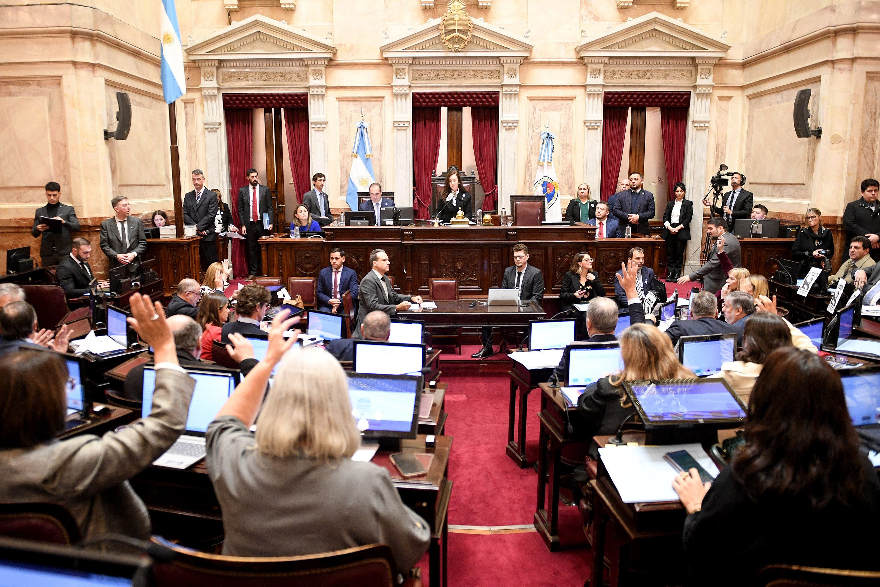 El Senado hizo ley el aumento del haber jubilatorio, el bono y la prórroga de la moratoria previsional.