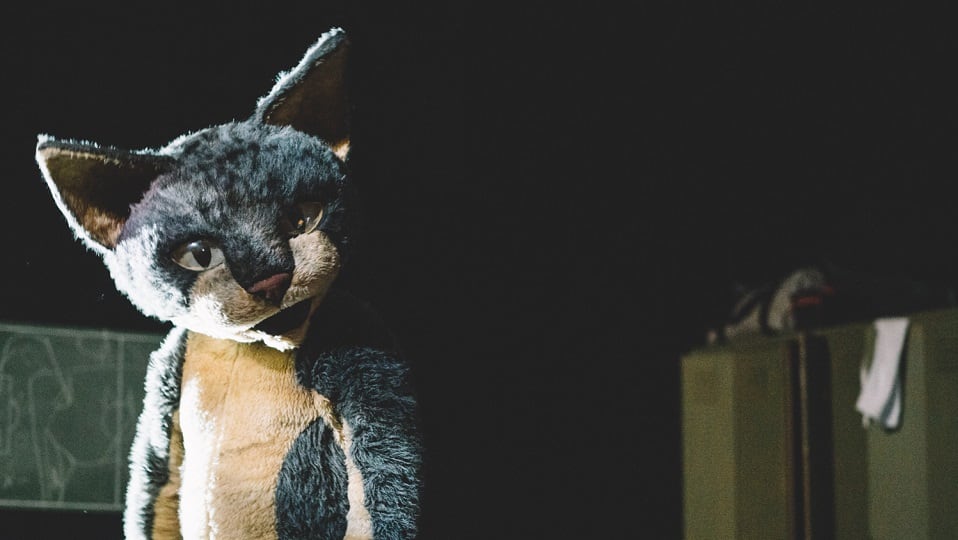 El gato de Schrödinger, del uruguayo Santiago Sanguinetti, combina fútbol y física cuántica los lunes en Timbre 4.