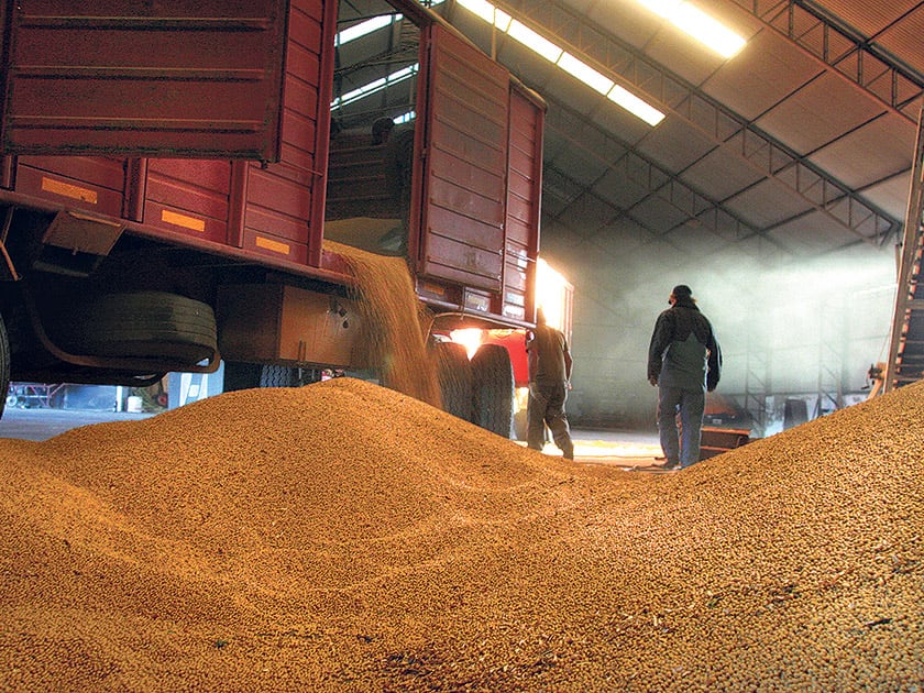 Está previsto que las retenciones a la soja bajen un punto por año, lo que alienta la demora para liquidar las divisas.