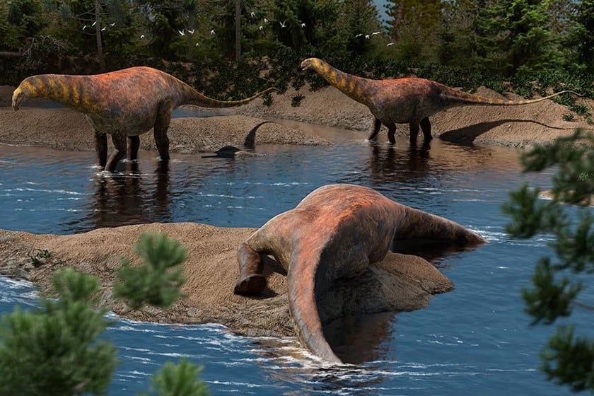 Reconstrucción de Astigmasaura genuflexa. Créditos: Mattia Yuri Messina.