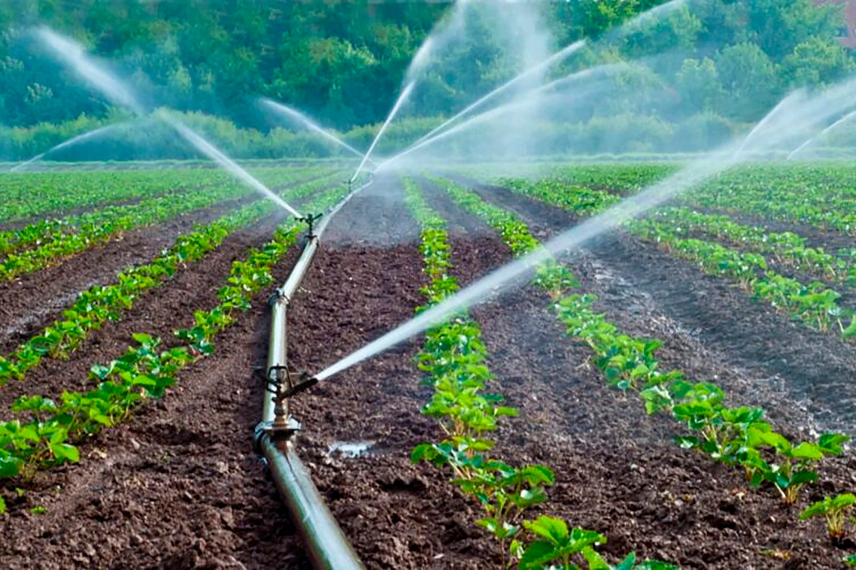 La superficie regada en Argentina es muy escasa