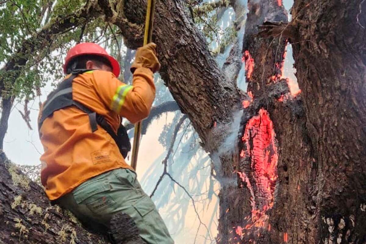 El fuego en el Lanín se extendió por la zona norte del Parque.