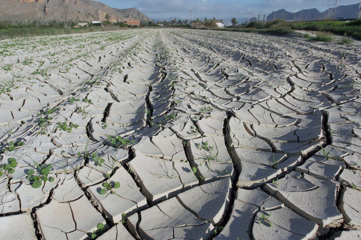 El cambio climático y la salud del planeta son el eje central de las reuniones del Foro Permanente para las Cuestiones Indígenas, que continuará hasta el 28 de abril en Nueva York. (Foto: EFE)
