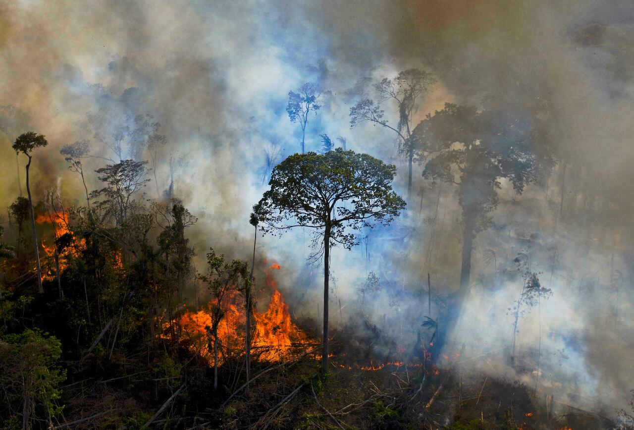 Los humedales cubren el 21,5 por ciento de la superficie nacional.
