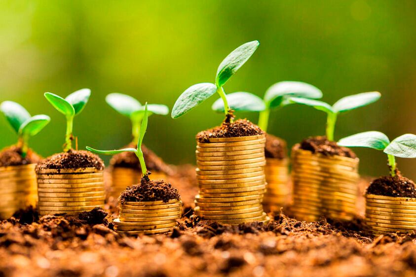 Los bonos verdes alcanzaron este año una capitalización de mercado de más de 1 billón de dólares. 