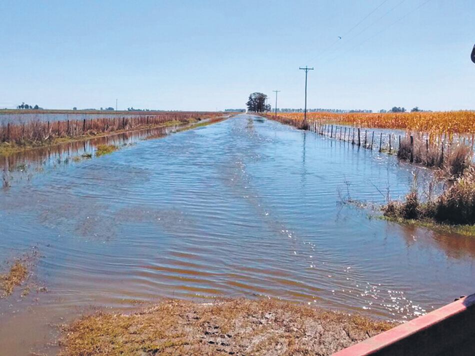 Denuncian que la inundación en General Villegas es por falta de gestión.