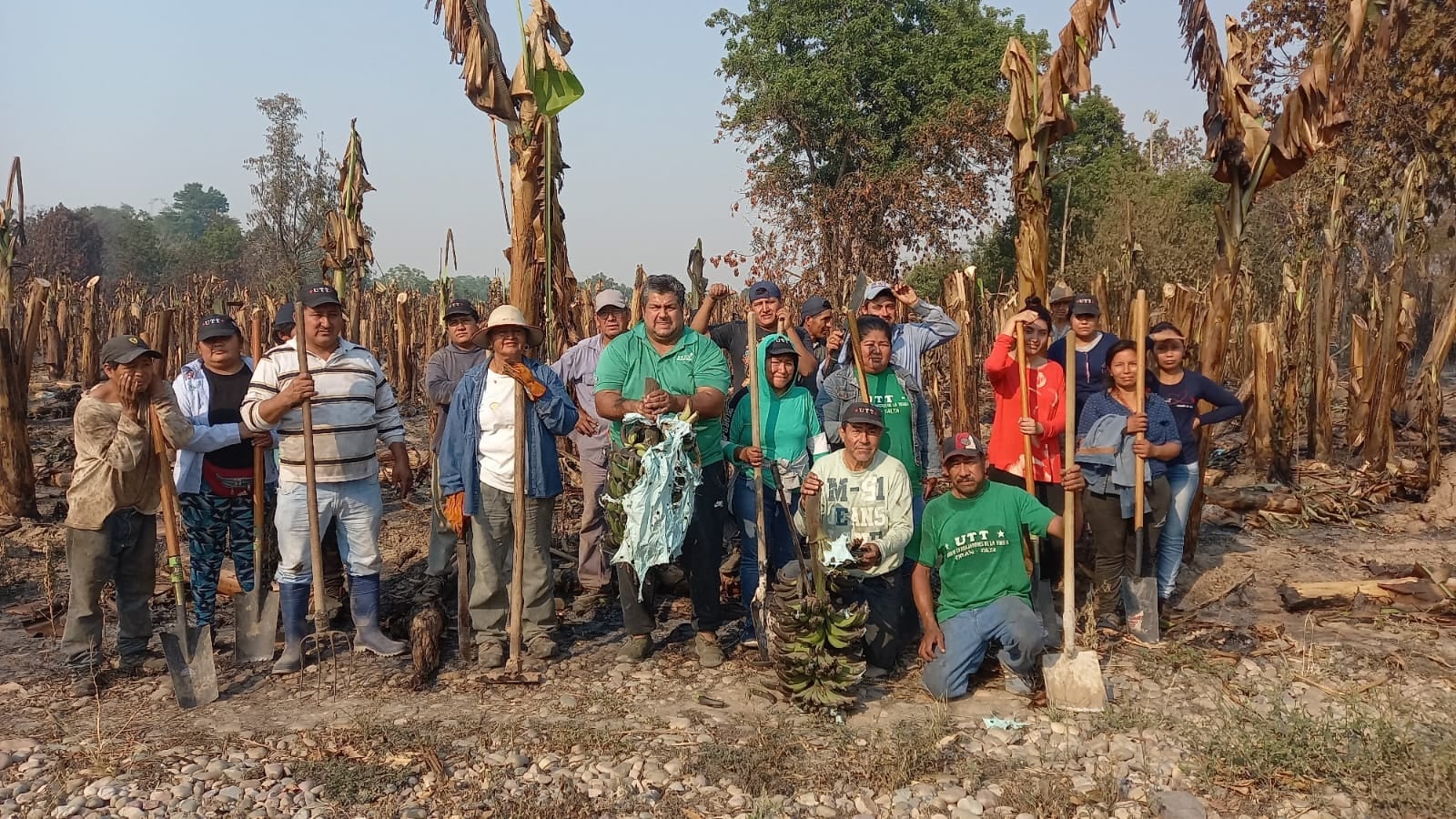 Trabajo cooperativo para revertir los incendios forestales en Orán.