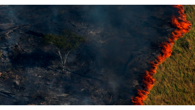 Un bosque en llamas durante la 'Operación Ola Verde' para combatir la tala ilegal en la sureña región del estado de Amazonas.