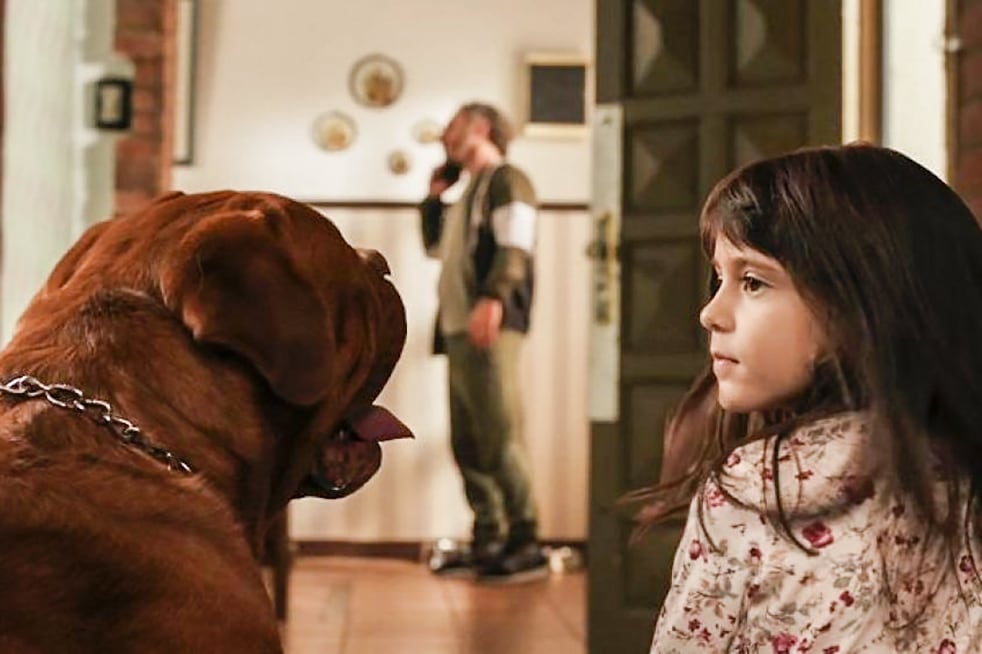 "Cuando acecha la maldad", dirigida por Damián Rugna, se proyectará el sábado.