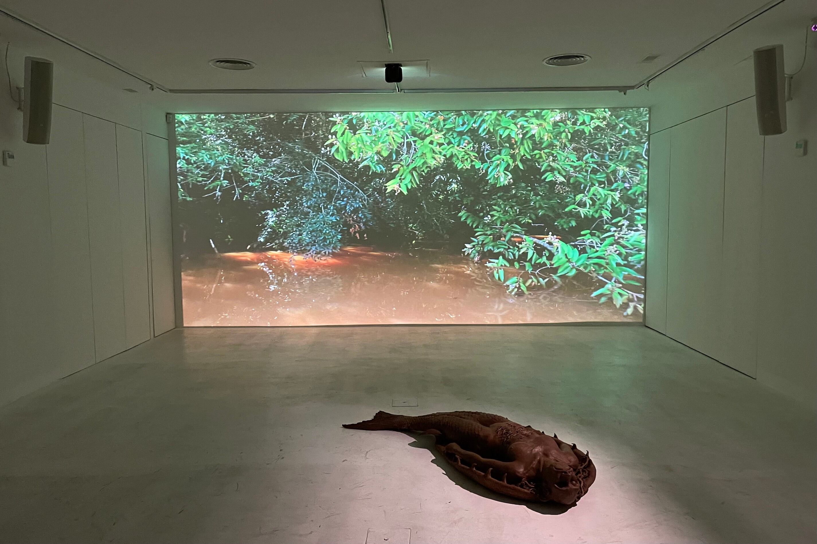 Mujer-pez (“pejerreina”) de arcilla y video; instalación de Adriana Bustos. Abajo: Detalle de la extensa carta de navegación de A. Bustos.