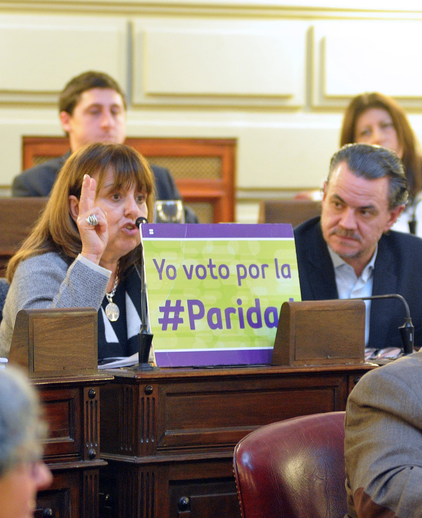 Los diputados Gutiérrez y Galassi expusieron sus argumentos.