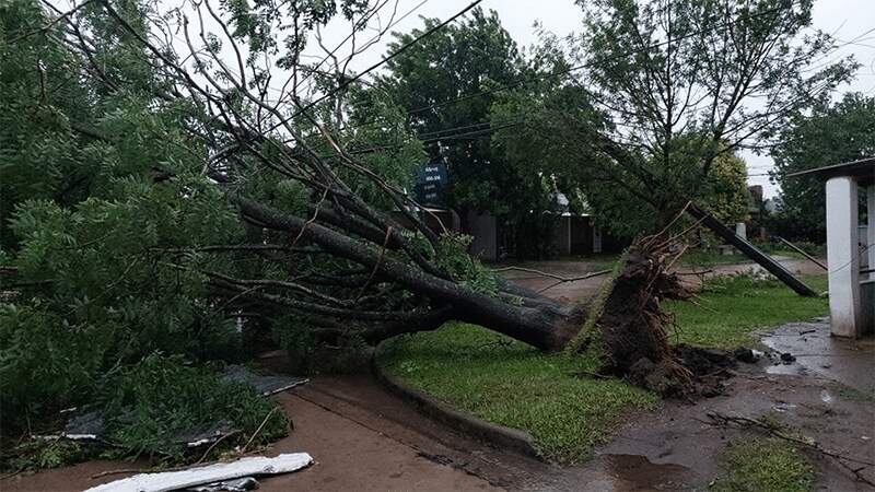 Las ráfagas arrancaron techos y árboles.