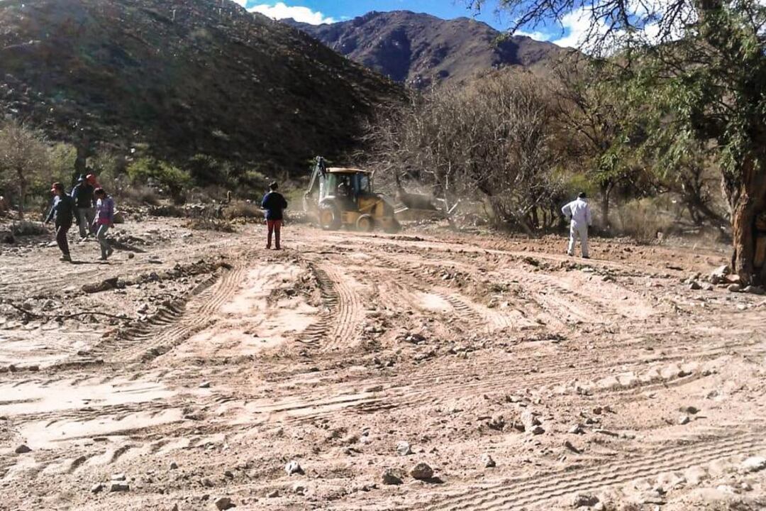 Expansión de viñas sobre el territorio originario, denunciada por la UPND