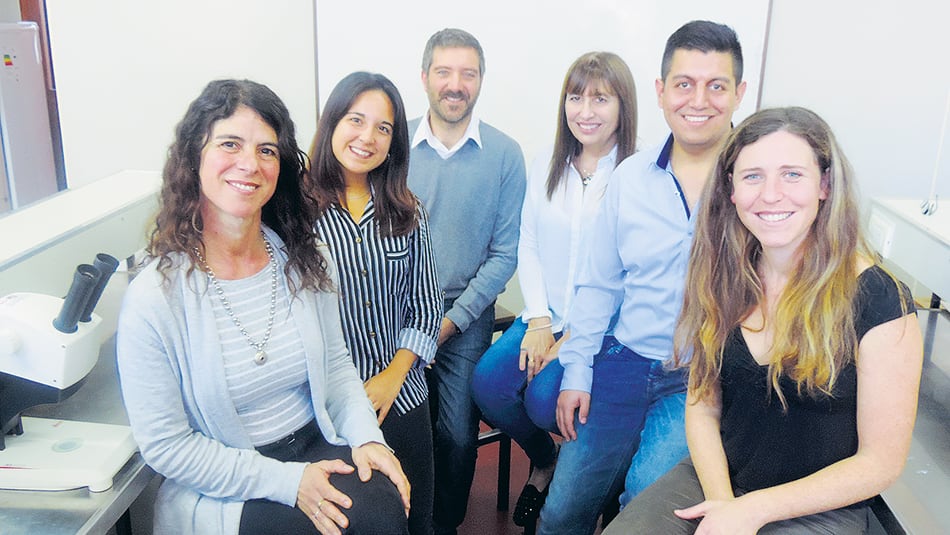 El equipo de Conicet estuvo coordinado por Andreína Cesari y Virginia Ballarin.