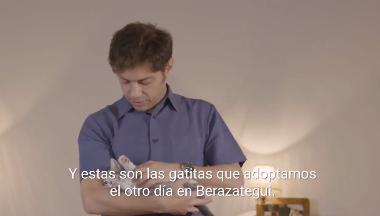 Kicillof mostró a las gatas que adoptó durante una reciente recorrida por Berazategui.