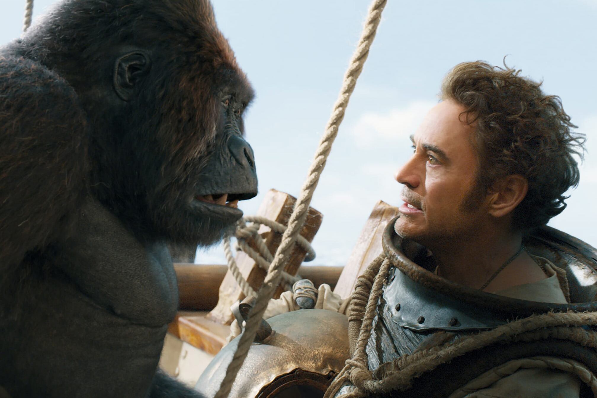 A veces hablar la misma lengua no resuelve problemas de entendimiento. 