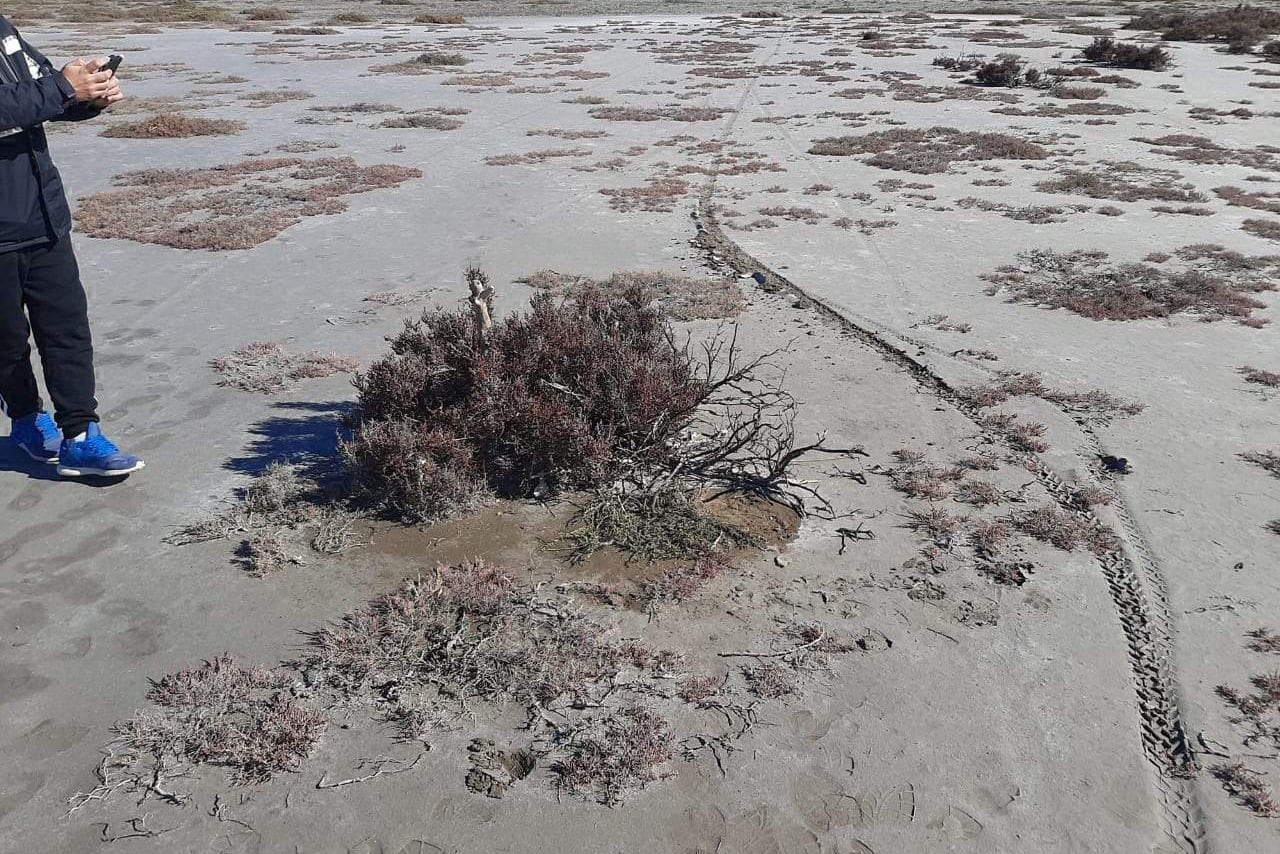 El lugar donde se encontró la mochila, a unos cuatro kilómetros de donde apareció el cuerpo.