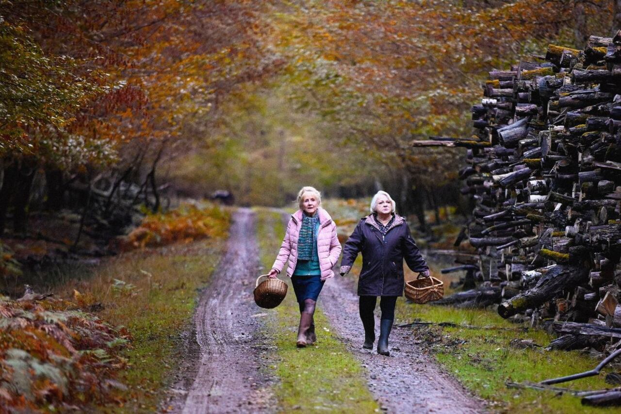 Hélène Vincent y Josiane Balasko, las dos estupendas protagonistas del film