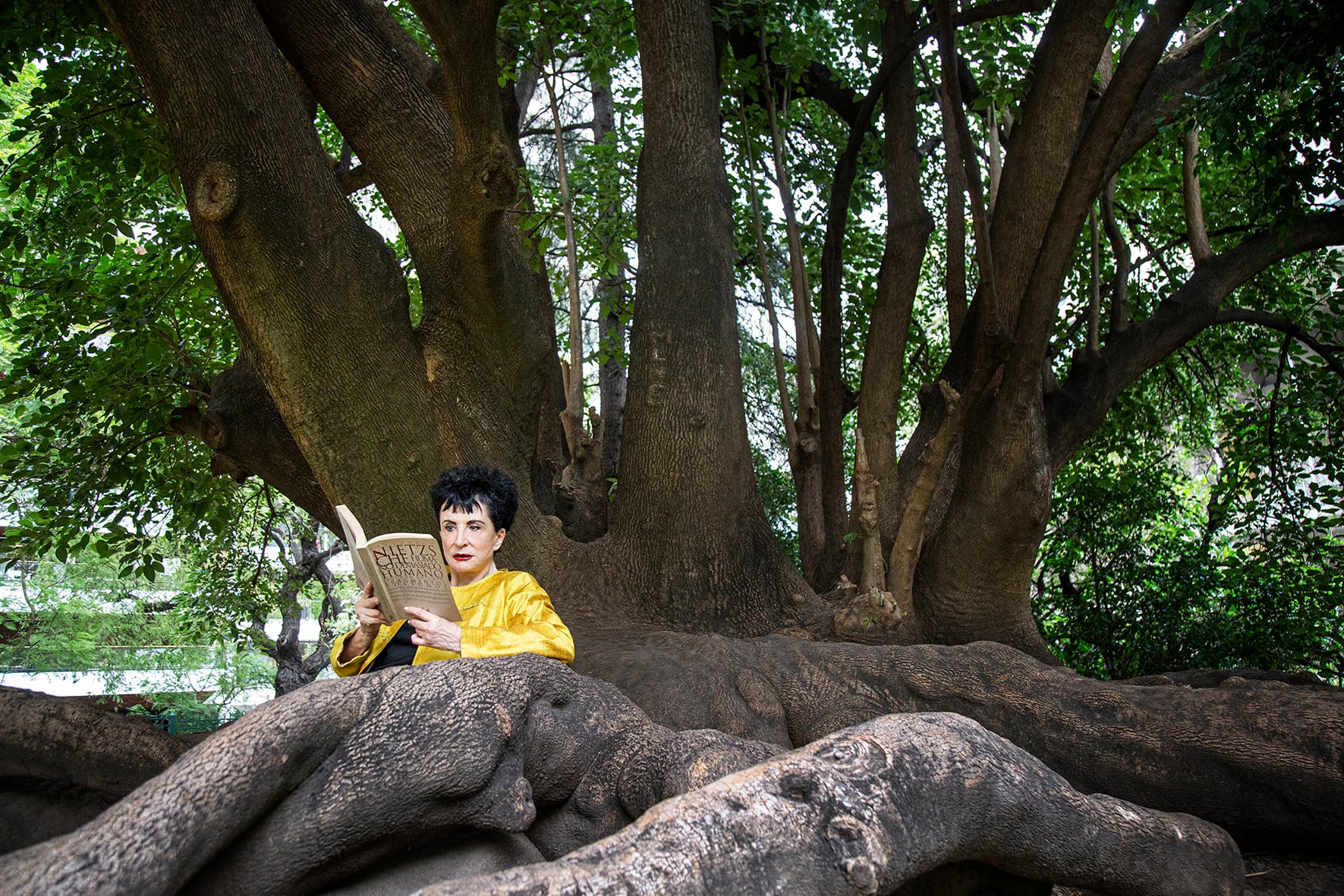 Entender las razones de la crueldad que se manifiesta a diario desde el poder es necesario.