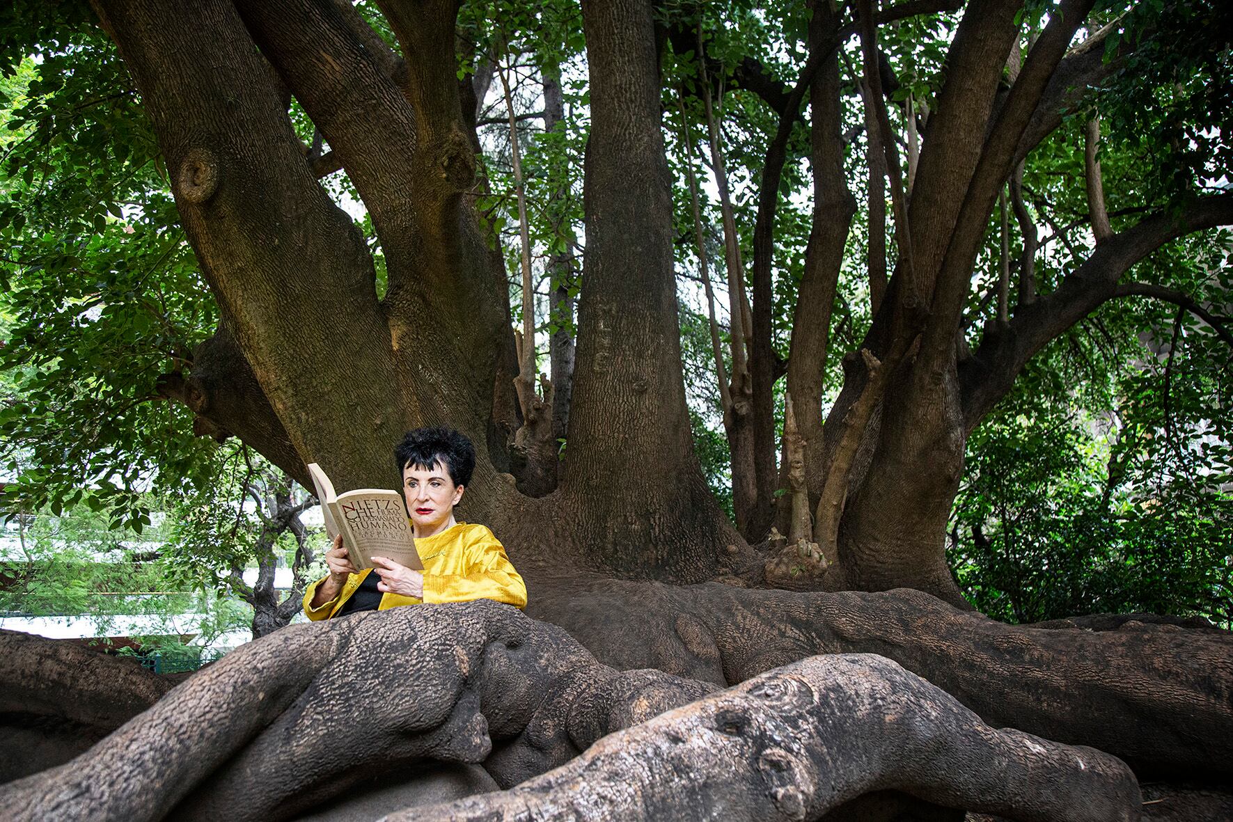Entender las razones de la crueldad que se manifiesta a diario desde el poder es necesario.