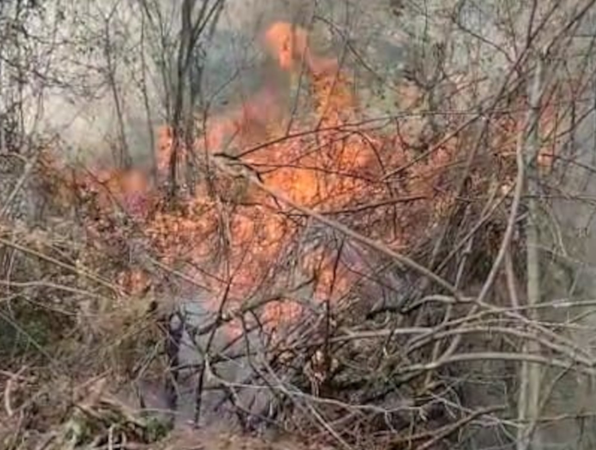 El fuego en el bosque seco de las Yungas salteñas. 