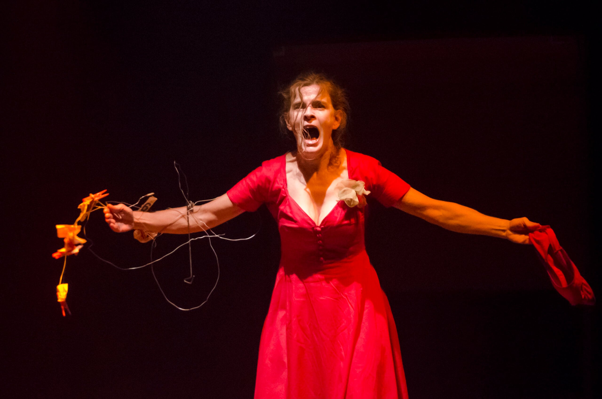 Vilma Echeverría escribió e interpreta el unipersonal. 