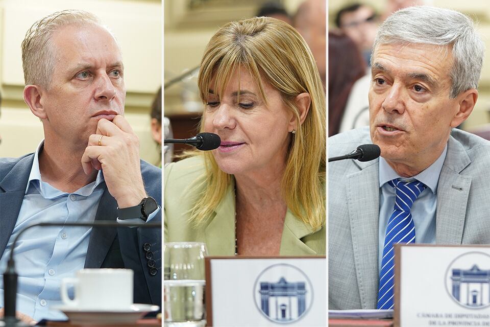 Rabbia, Rodenas y Agosto. Diputados peronistas que votan en contra.