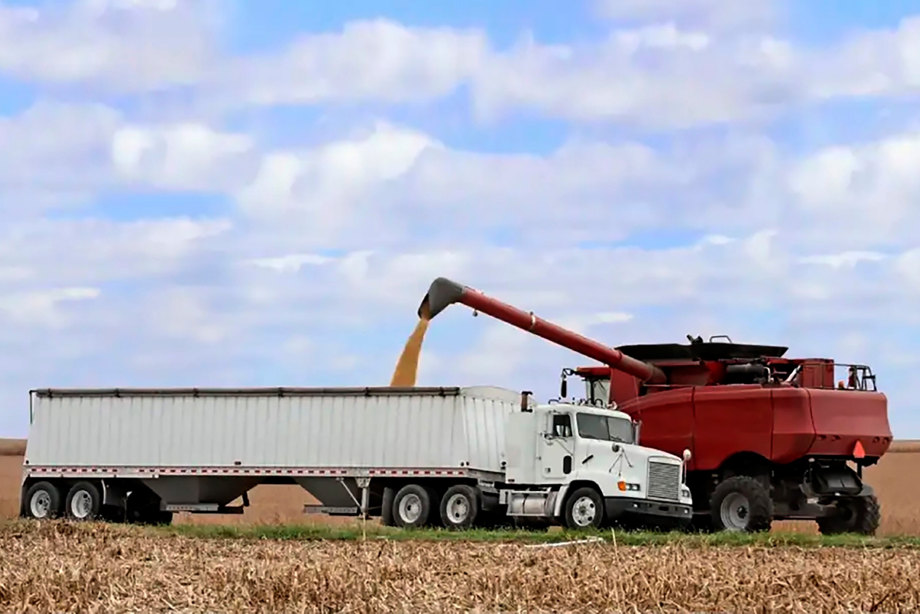 Apenas cuatro empresas explican más del 60 por ciento de las exportaciones de granos