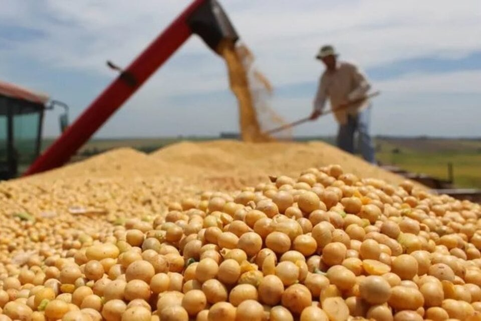 Los Derechos de Exportación son claves en la estructura impositiva de Argentina