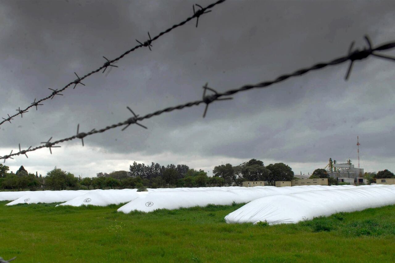 El presidente de la Sociedad Rural Argentina, Daniel Pelegrina, cuestionó la medida.
