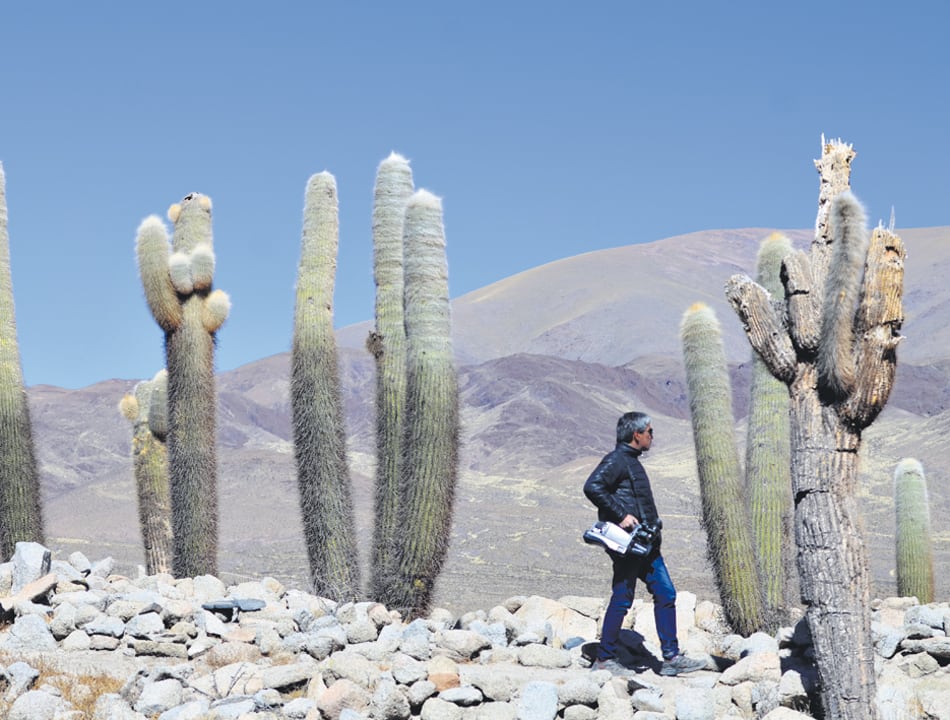 El paisaje otorga otra dimensión a las ruinas, junto a la red de caminos incaicos.